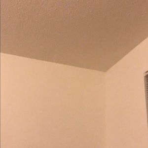 Meet your Posher, Paul